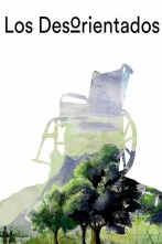 Imagen de Los desorientados - 1