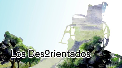 Imagen de Los desorientados - 2