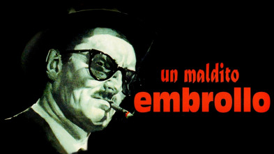 Imagen de Un maldito embrollo - 2