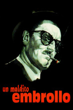 Imagen de Un maldito embrollo - 1