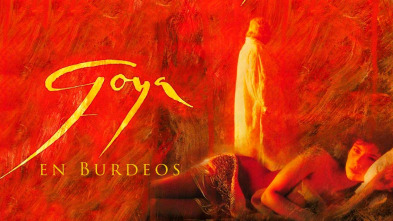 Imagen de Goya en Burdeos - 2