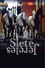 Imagen de Siete Jereles - 1