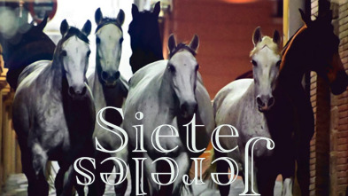 Imagen de Siete Jereles - 2