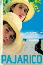 Imagen de Pajarico - 1