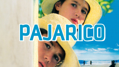 Imagen de Pajarico - 2