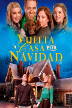 Imagen de Vuelta a casa por Navidad - 1