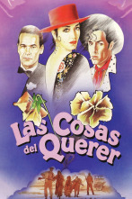 Imagen de Las cosas del querer - 1