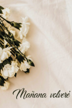 Imagen de Mañana volveré - 1