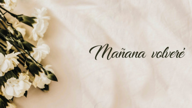 Imagen de Mañana volveré - 2