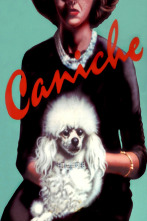 Imagen de Caniche - 1