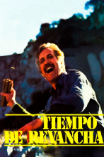 Imagen de Tiempo de revancha - 1