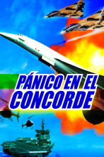 Imagen de Pánico en el concorde - 1