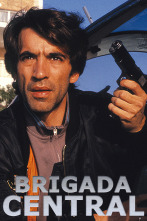 Imagen de Brigada Central (T1) - 1