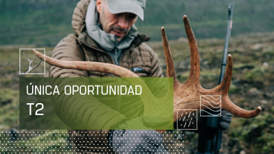 Imagen de Única oportunidad (T2) - 2