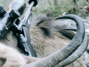 Imagen de Única oportunidad (T2): Vercors, guardián de las rocas - 5