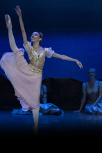 Imagen de Le Corsaire - Ballet de l'Opéra national de Bordeaux José Martínez - 1