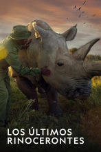 Imagen de Los últimos rinocerontes - 8
