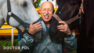 Imagen de Doctor Pol (T1) - 2