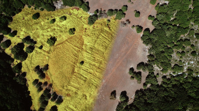 Imagen de Desmontando a Ulises - 10