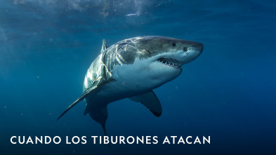 Imagen de Cuando los tiburones atacan  - 2