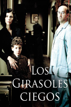 Imagen de Los girasoles ciegos - 1