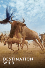 Imagen de Destination Wild  - 1