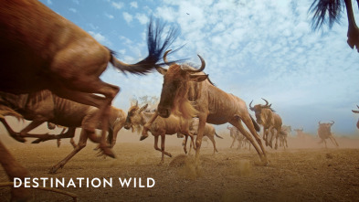 Imagen de Destination Wild  - 2