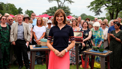 Imagen de Antiques Roadshow: Ep.6 - 2