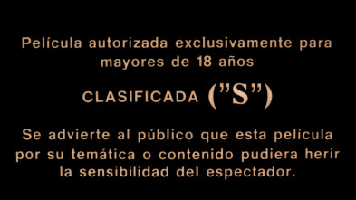 Imagen de Clasificado “S”: transgresión en la Transición - 4