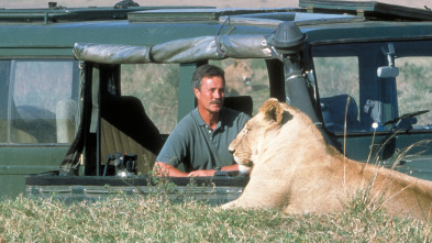 Imagen de Diario de los grandes felinos: Ep.2 - 2