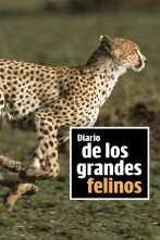 Imagen de Diario de los grandes felinos  - 1
