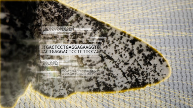 Imagen de Revisando la teoría de la evolución - 9