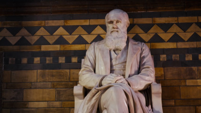 Imagen de Revisando la teoría de la evolución - 11