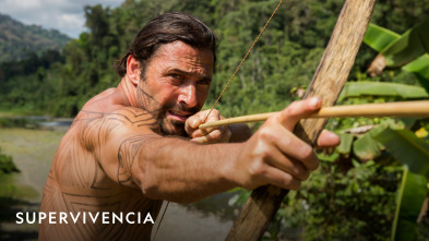Imagen de Supervivencia  - 2