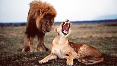 Imagen de Campos de batalla salvajes - 2