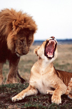 Imagen de Campos de batalla salvajes - 1