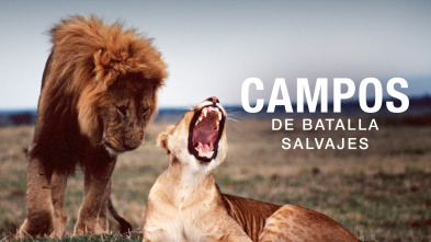 Imagen de Campos de batalla salvajes  - 2
