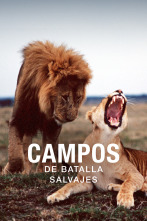 Imagen de Campos de batalla salvajes  - 1