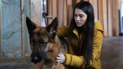 Imagen de Hudson y Rex (T1): Ep.1 La Caza - 2