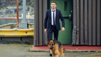 Imagen de Hudson y Rex (T1): Ep.2 Frikis sin miedo - 1
