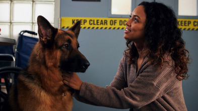 Imagen de Hudson y Rex (T1): Ep.3 Día de clase - 2
