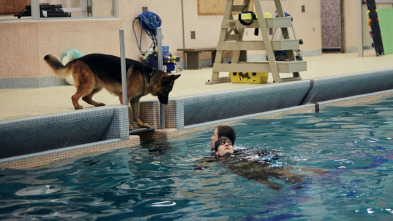 Imagen de Hudson y Rex (T1): Ep.4 El cuidador de mascotas - 3