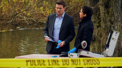 Imagen de Hudson y Rex (T1): Ep.5 Perseguido por el pasado - 5