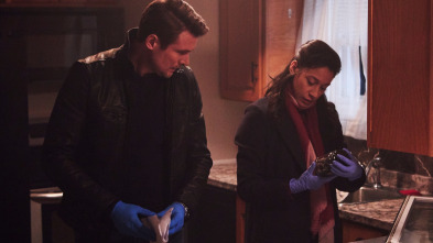 Imagen de Hudson y Rex (T1): Ep.6 Eddie el rápido - 3