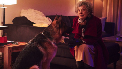 Imagen de Hudson y Rex (T1): Ep.6 Eddie el rápido - 5