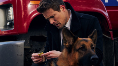 Imagen de Hudson y Rex (T1): Ep.7 El arte de la oscuridad - 1