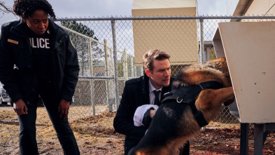 Imagen de Hudson y Rex (T1): Ep.7 El arte de la oscuridad - 2