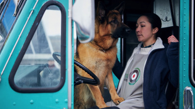 Imagen de Hudson y Rex (T1): Ep.8 Asesinato, pensó ella - 2
