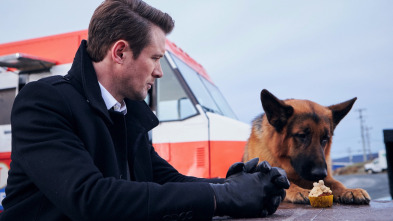 Imagen de Hudson y Rex (T1): Ep.8 Asesinato, pensó ella - 3