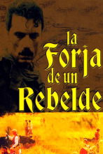 Imagen de La forja de un rebelde (T1) - 1
